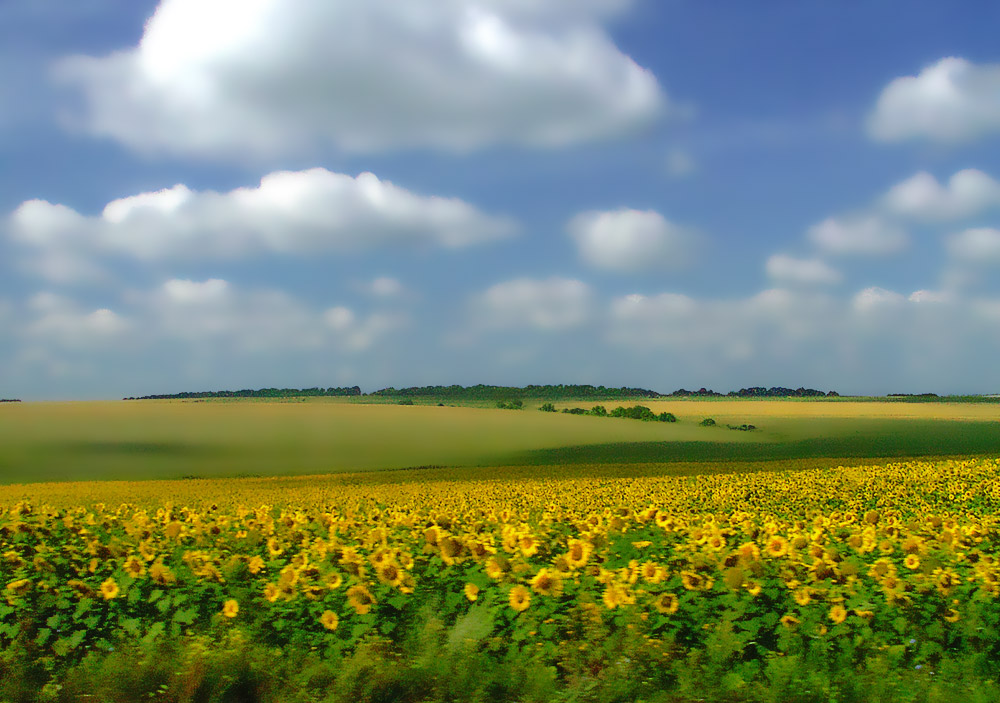 Мероприятия для создания спокойствия на Кубани