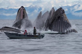 Трое рыбаков в море нашли кусок амбры стоимостью в $3 млн