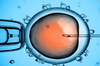 Названы различия в развитии детей, рожденных с помощью ЭКО