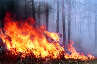 В трех российских регионах ввели режим ЧС федерального уровня