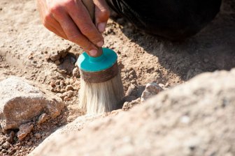 Жители Китая впервые начали выращивать рис более 10 тыс. лет назад