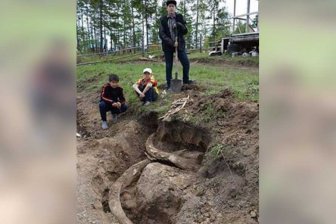 Житель села Ой нашел бивни мамонта возрастом 400 тысяч лет