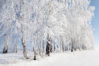 Зима близко: В Россию возвращаются суровые зимние холода