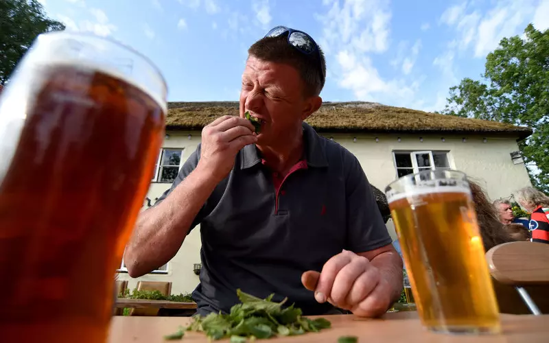 В Англии прошел чемпионат по поеданию крапивы