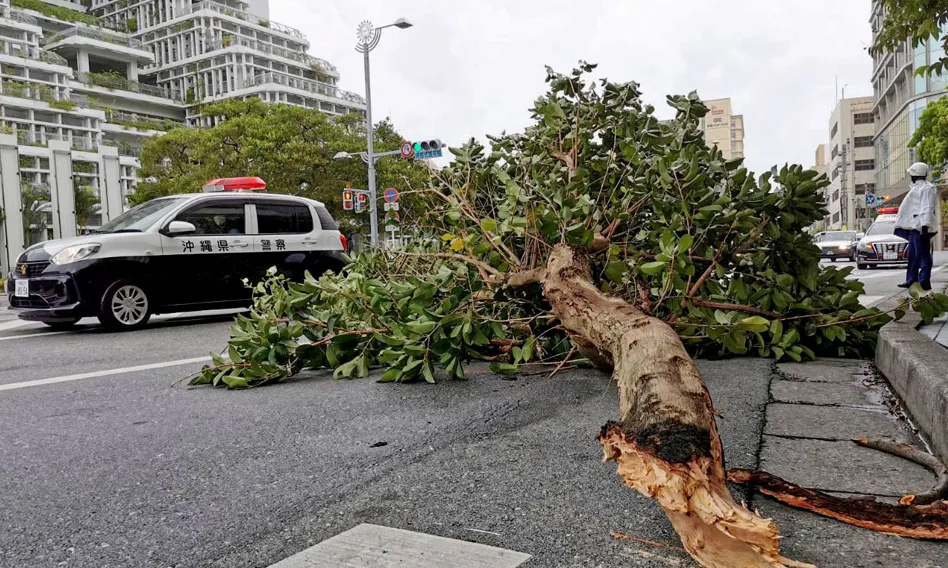 Тайфун Хиннамнор обрушился на Южную Корею. Десятки тысяч домов без электричества